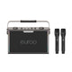 EUROO EPB-F26 Karaoke Speaker with Dual Wireless Microphones